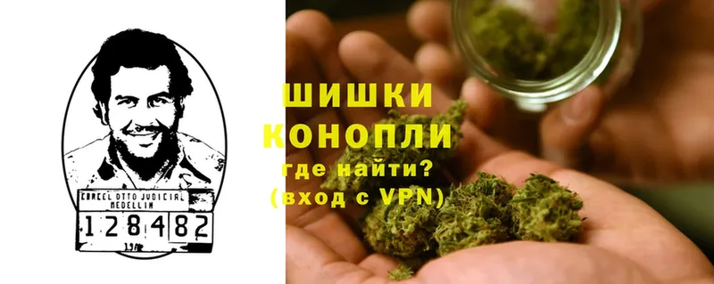 Бошки марихуана Bruce Banner  где найти наркотики  Олонец 